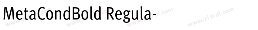 MetaCondBold Regula字体转换